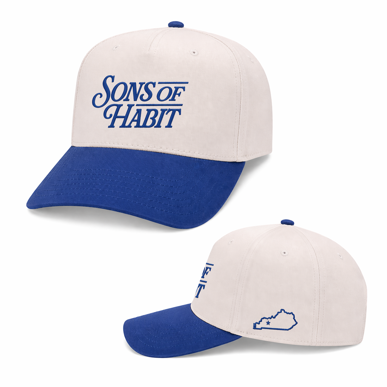 Natural/Royal Logo Hat